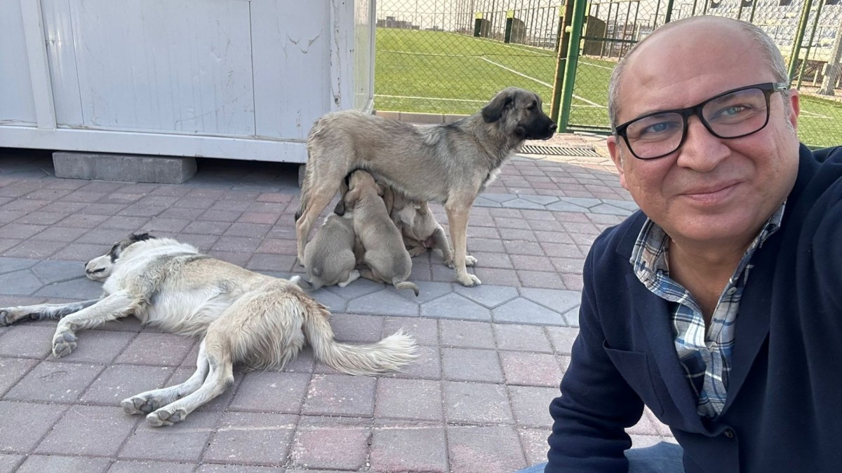 Adıyaman Nemrut Rotary Kulübü, ‘sokaktaki canlara’ umut oldu