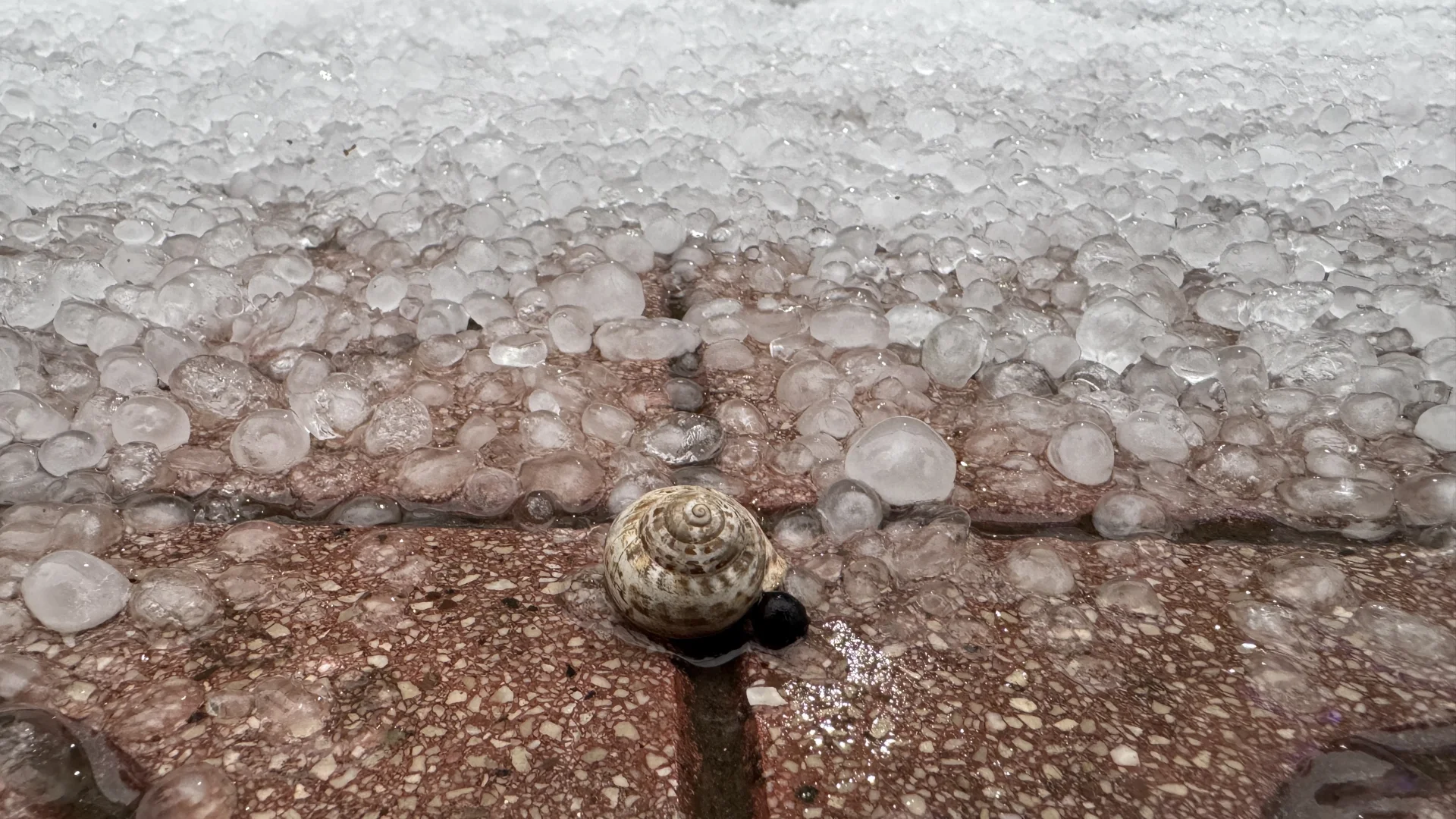Antalya'da sağanak ve dolu hayatı olumsuz etkiledi