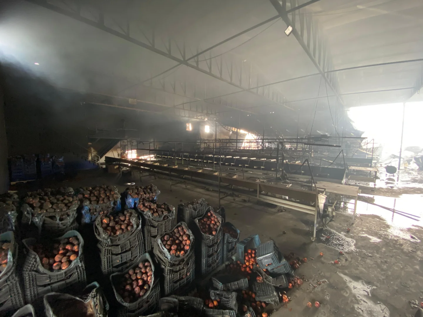 Antalya'da yangında sebze paketleme tesisi zarar gördü