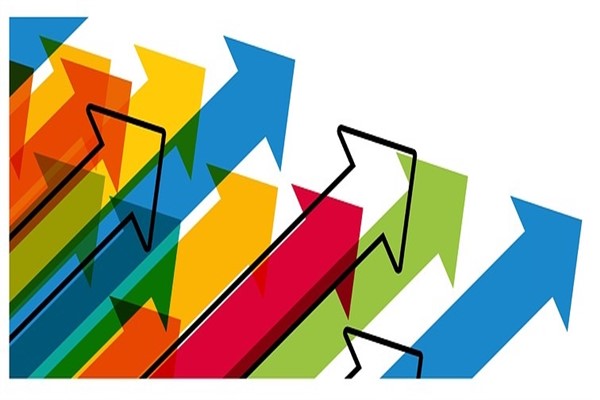 Asce Gayrimenkul'ün faaliyet raporu