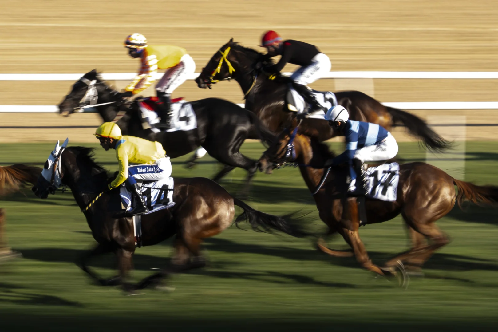 At yarışlarında Cumhuriyet ve Cumhurbaşkanlığı koşuları yapıldı
