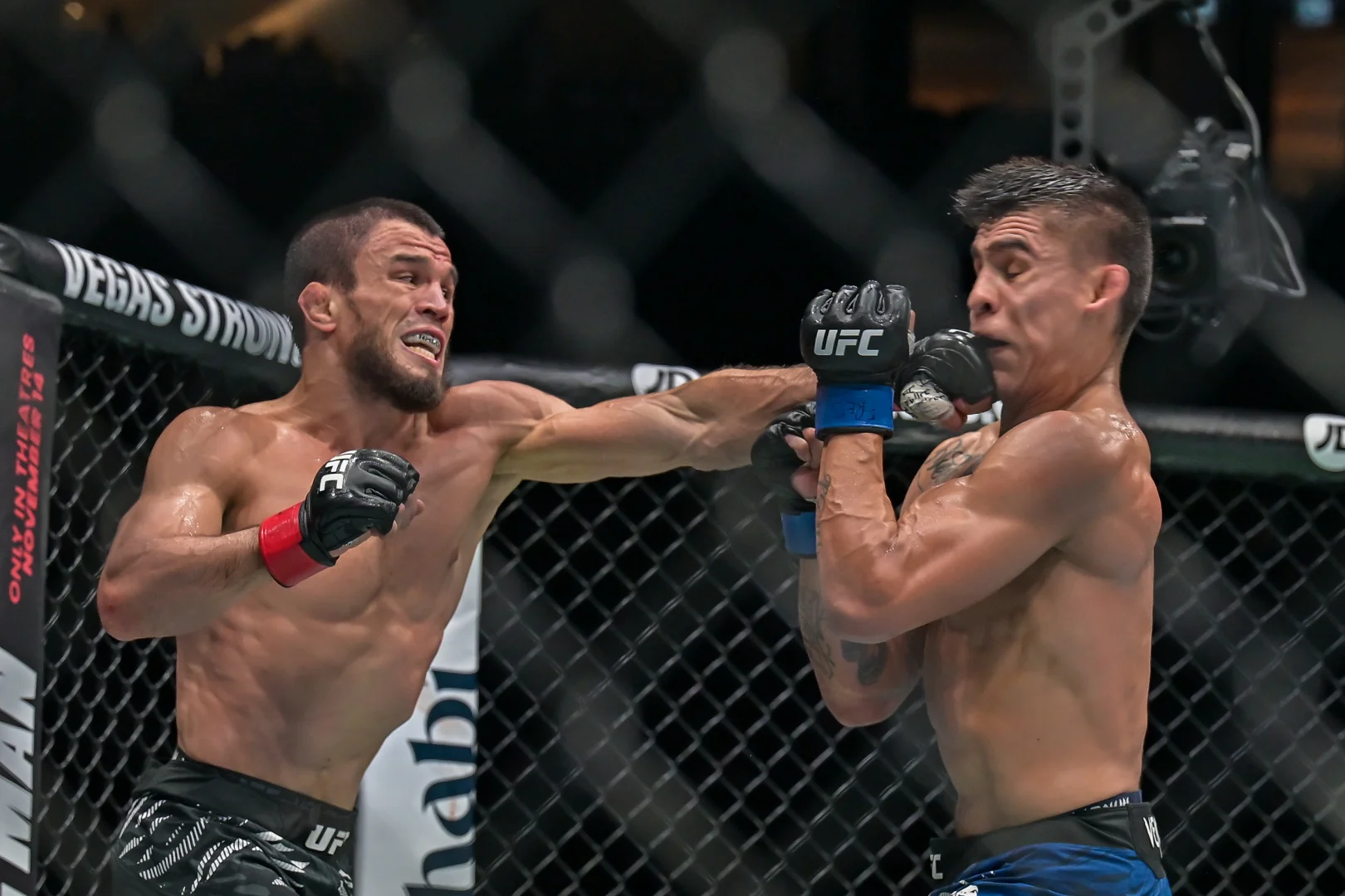 BAE'de UFC 321 turnuvası