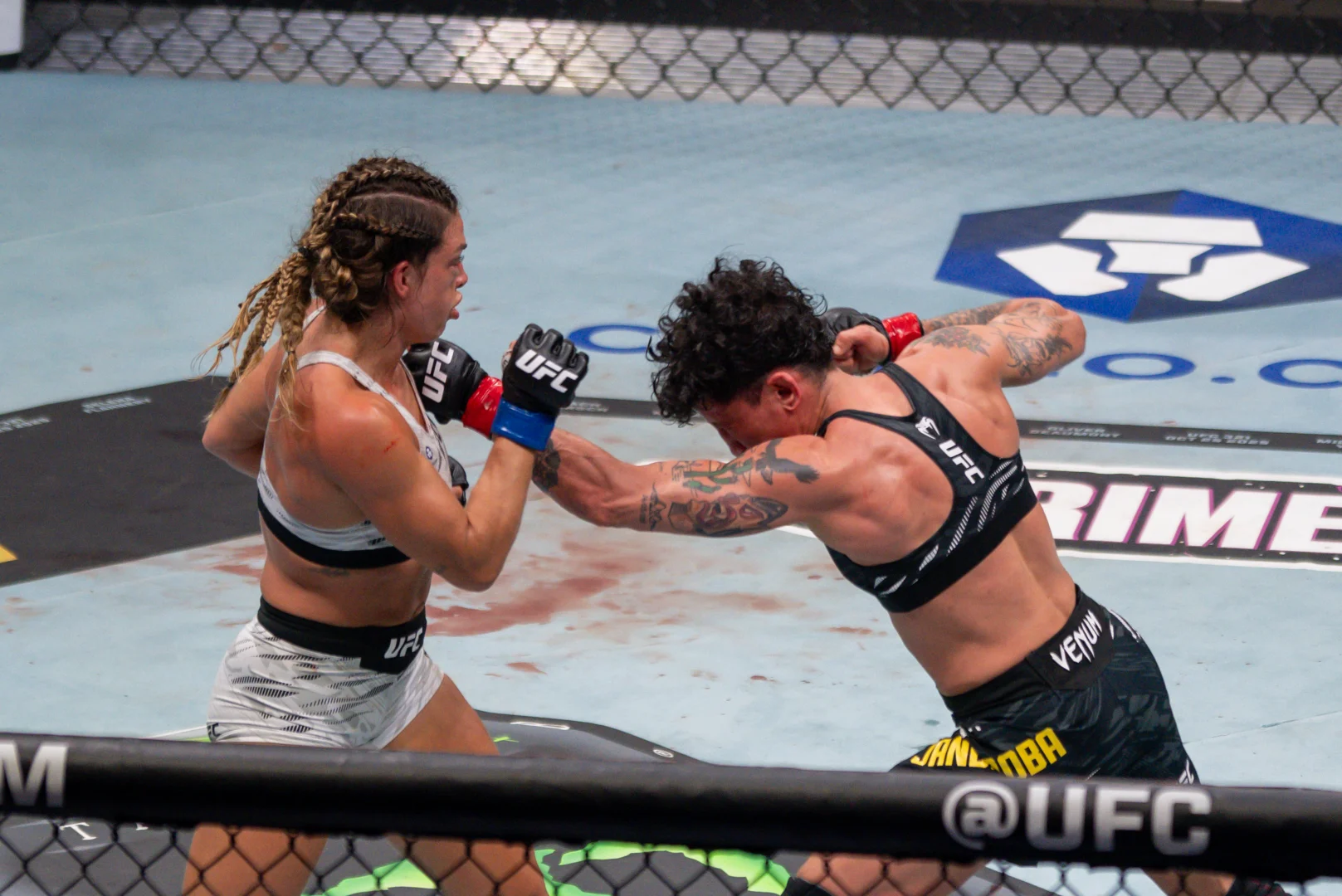 BAE'de UFC 321 turnuvası: Jandiroba - Dern karşılaşması