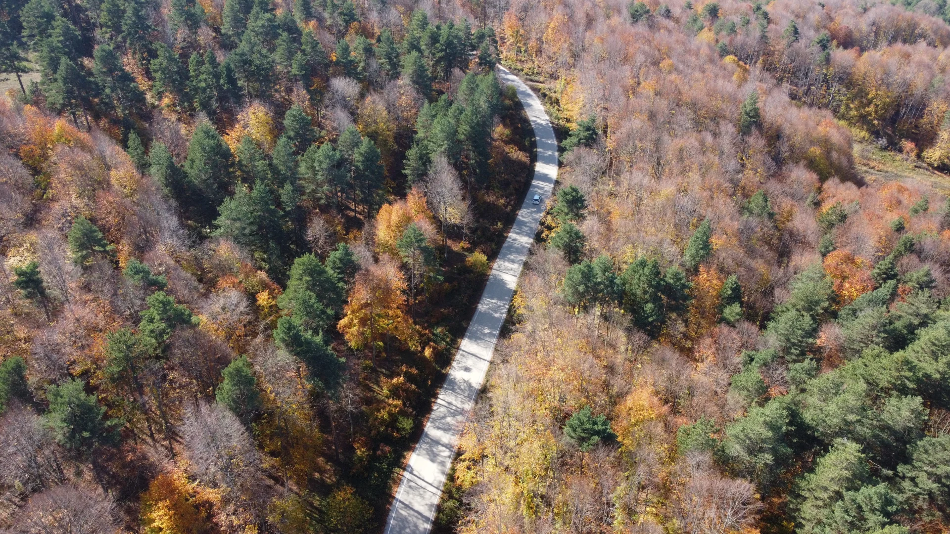 Bilecik ormanlarında sonbahar renkleri hakim oldu