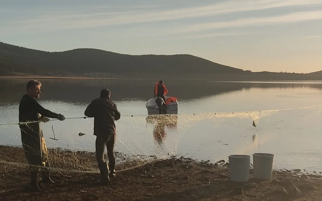 Bolu'da göle bırakılan 5 bin metrelik ağdaki 500 balık kurtarıldı