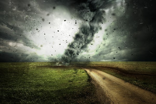 Brezilya’da başlayan BM İklim Konferansı’ndan iklim eylemi çağrısı