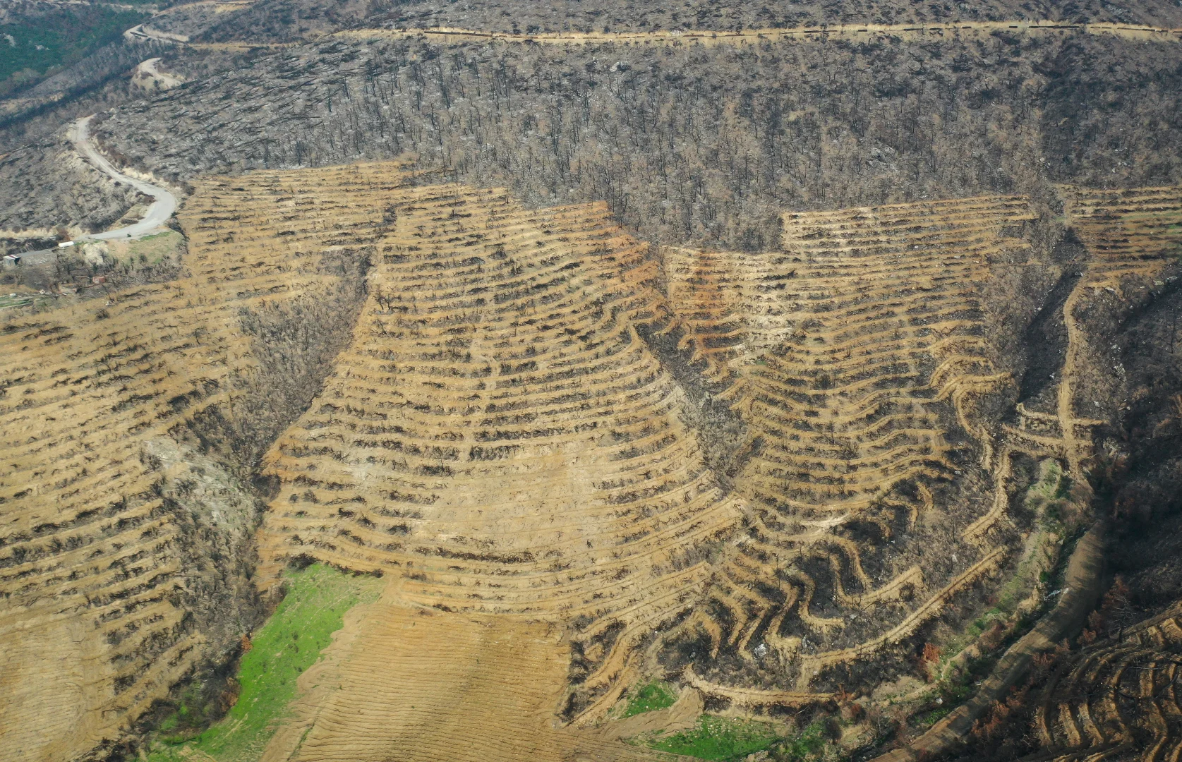 Bursa'da 3 milyon 250 bin fidan toprakla buluşacak
