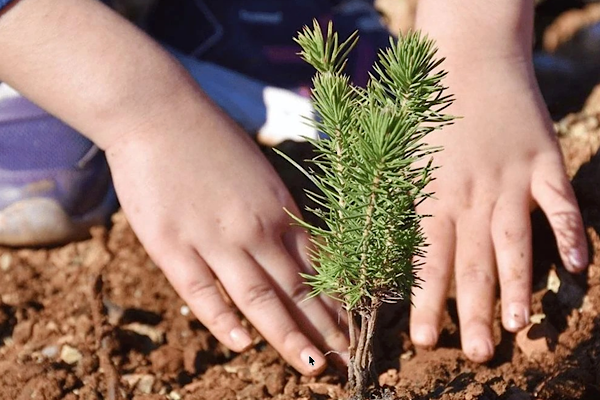 Bursa'da öğrencileri 2 bin 668 fidan dikti