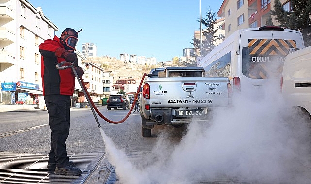 Çankaya’da Dört Mevsim Haşere ile Mücadele
