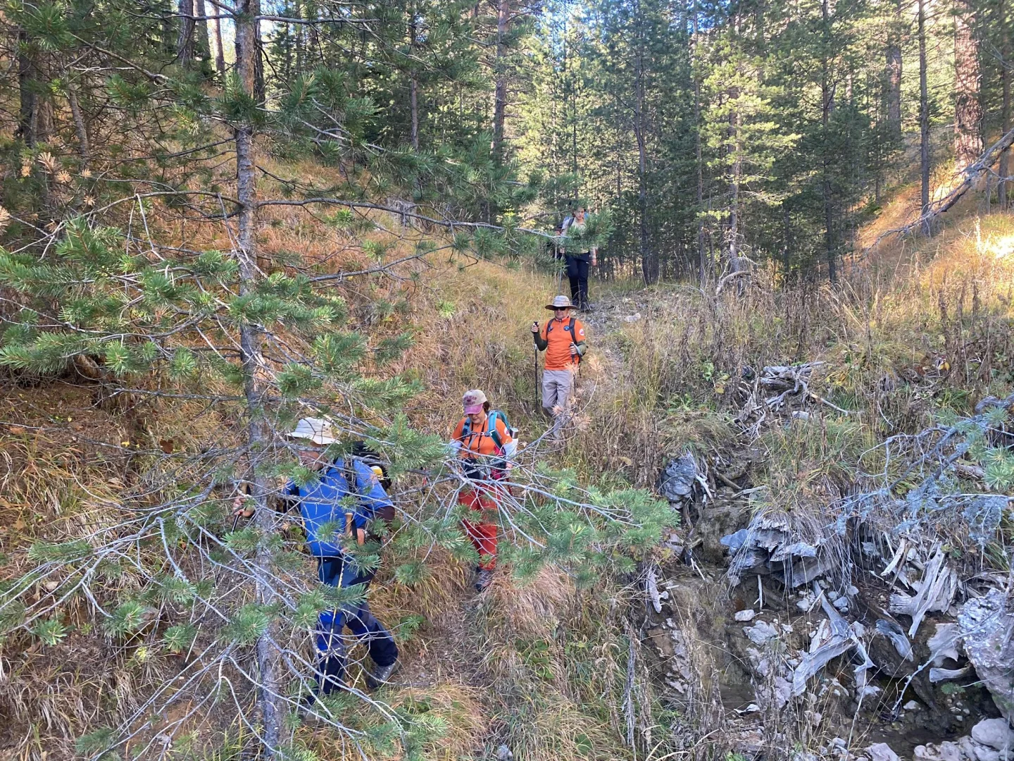 Çankırı'da dağcılar Cumhuriyet'in 102. yılını Ilgaz Dağı'nın zirvesinde kutladı
