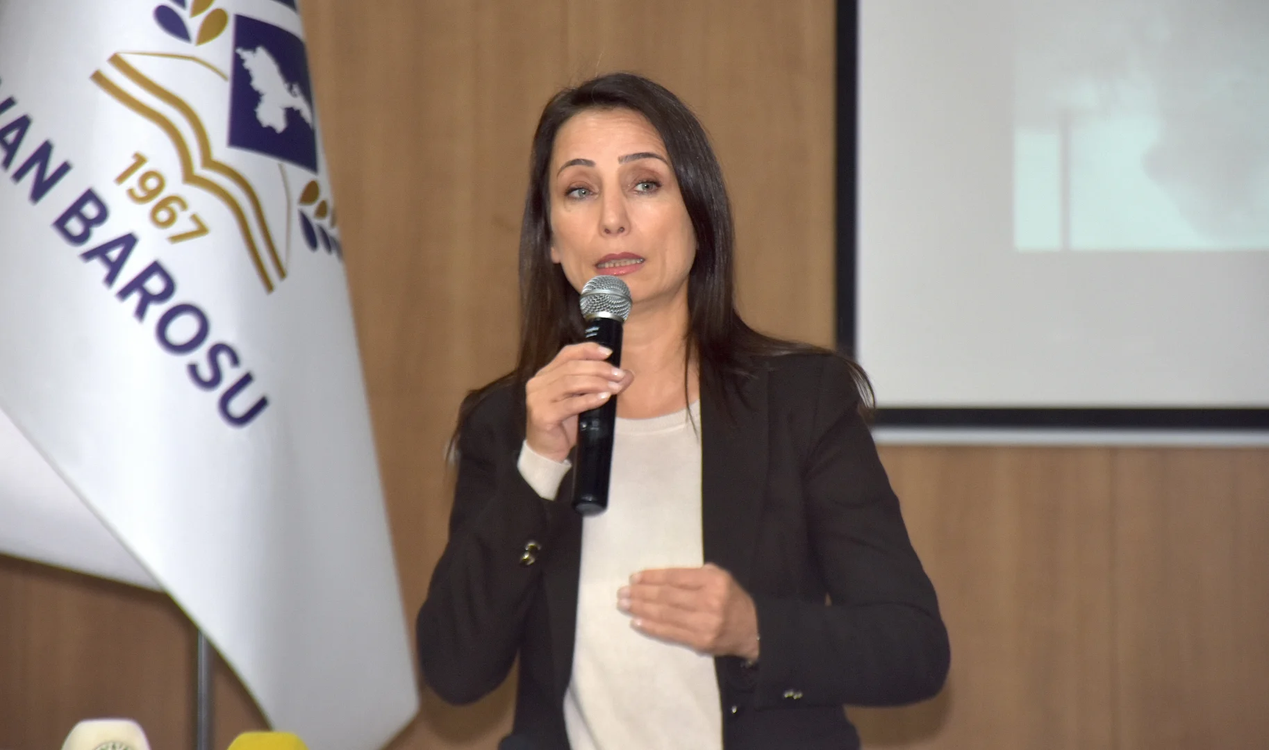 DEM Parti Eş Genel Başkanı Hatimoğulları, Van'da "Sivil Toplum Buluşması" programına katıldı