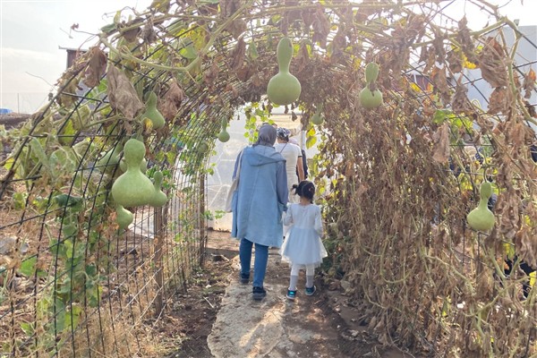 Diyarbakırlı kadınlar, Agroekoloji İklim Okulu’nu gezdi