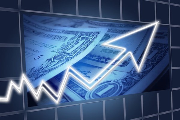 Ecogreen Enerji'nin halka arz sonuçları