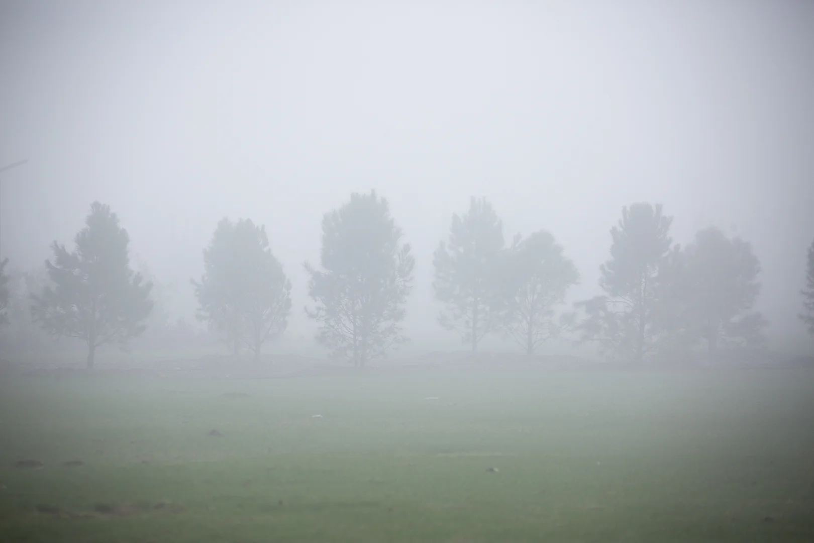 Erbil’de yoğun sis etkili oldu