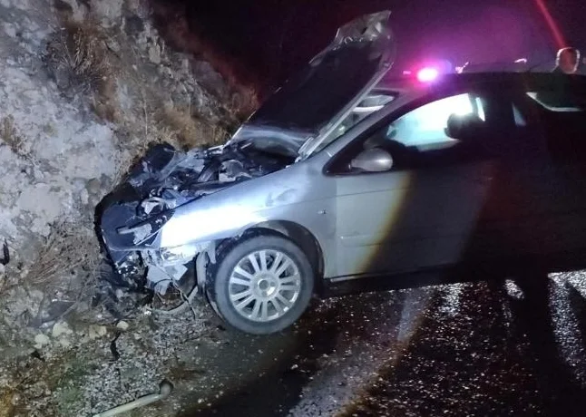 Erzincan'da ayıya çarpan otomobilde 1 kişi yaralandı