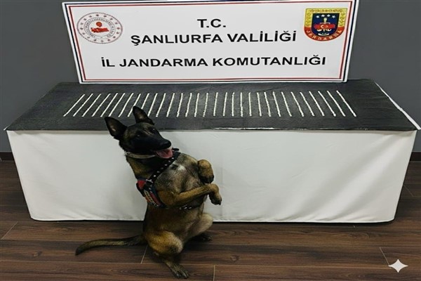 Eyyübiye'de, narkotik suçlarla mücadele kapsamında operasyon gerçekleştirildi