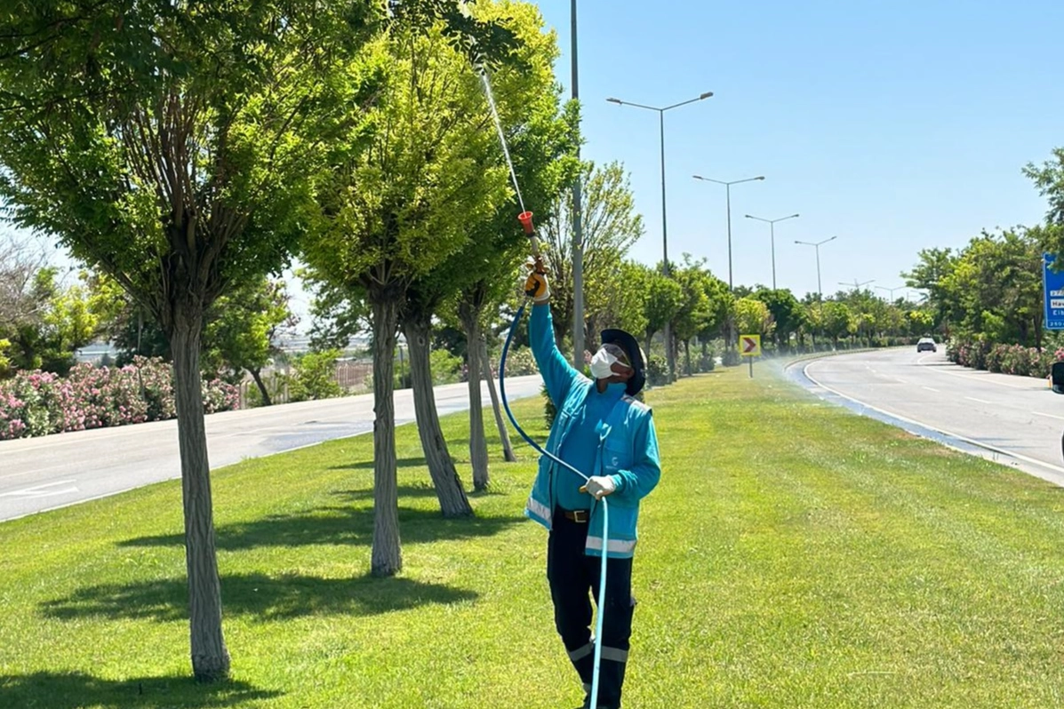 Gaziantep Büyükşehir’den Üvezle Mücadelede Yoğun İlaçlama