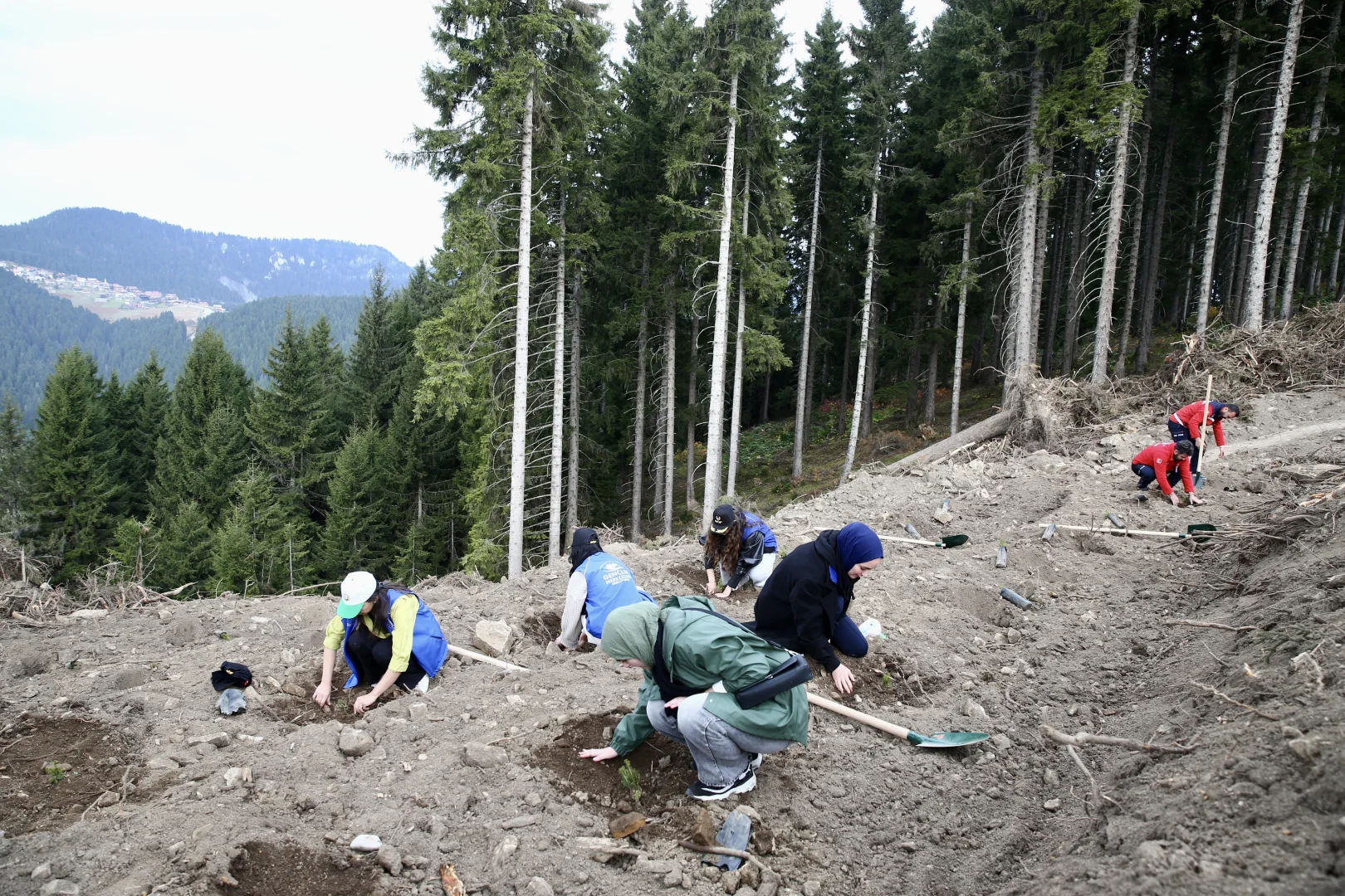 Giresun'da "Milli Ağaçlandırma Günü" kapsamında fidan dikildi
