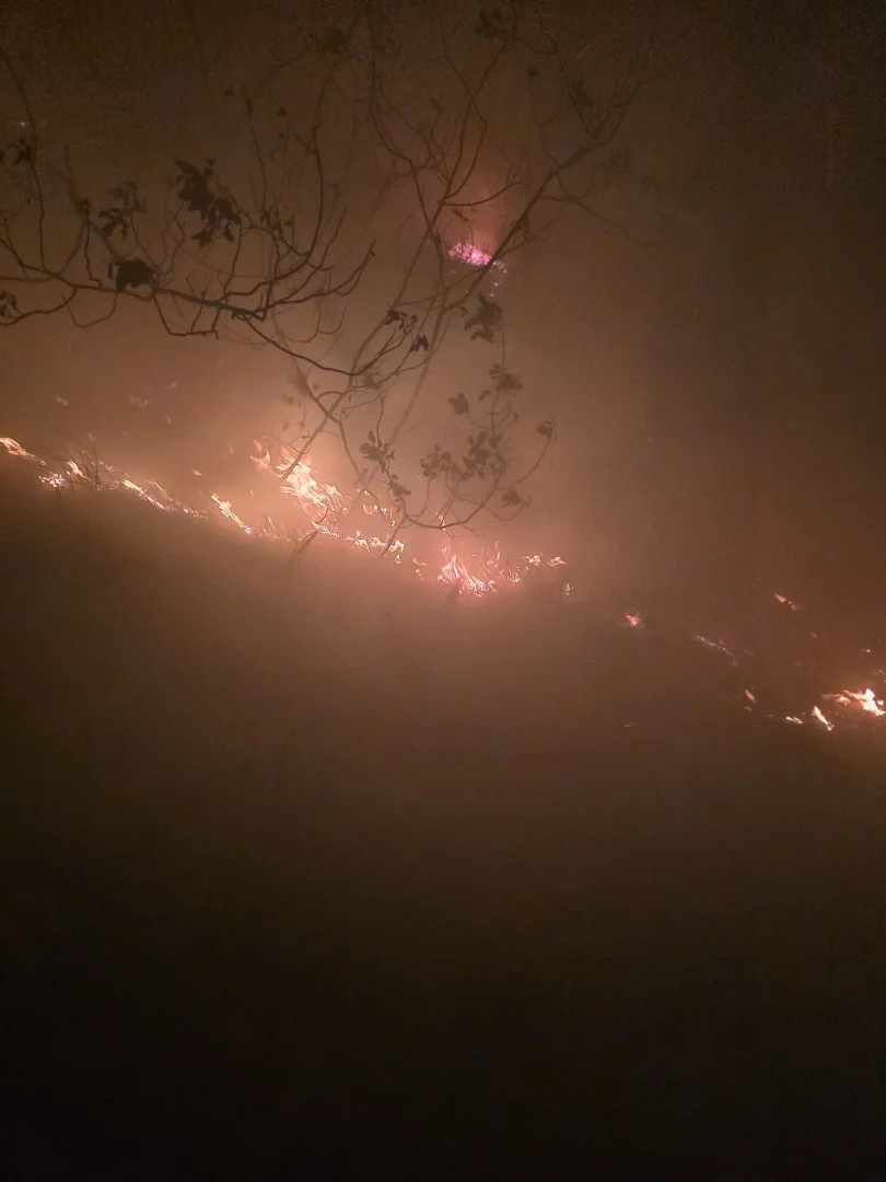 Hatay'da ormanlık alanda yangın çıktı