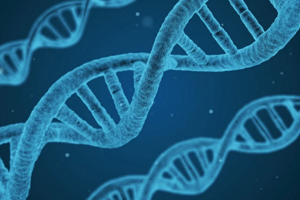 Hitler'in DNA analizi: Otizm, şizofreni ve bipolar bozukluğa yatkındı