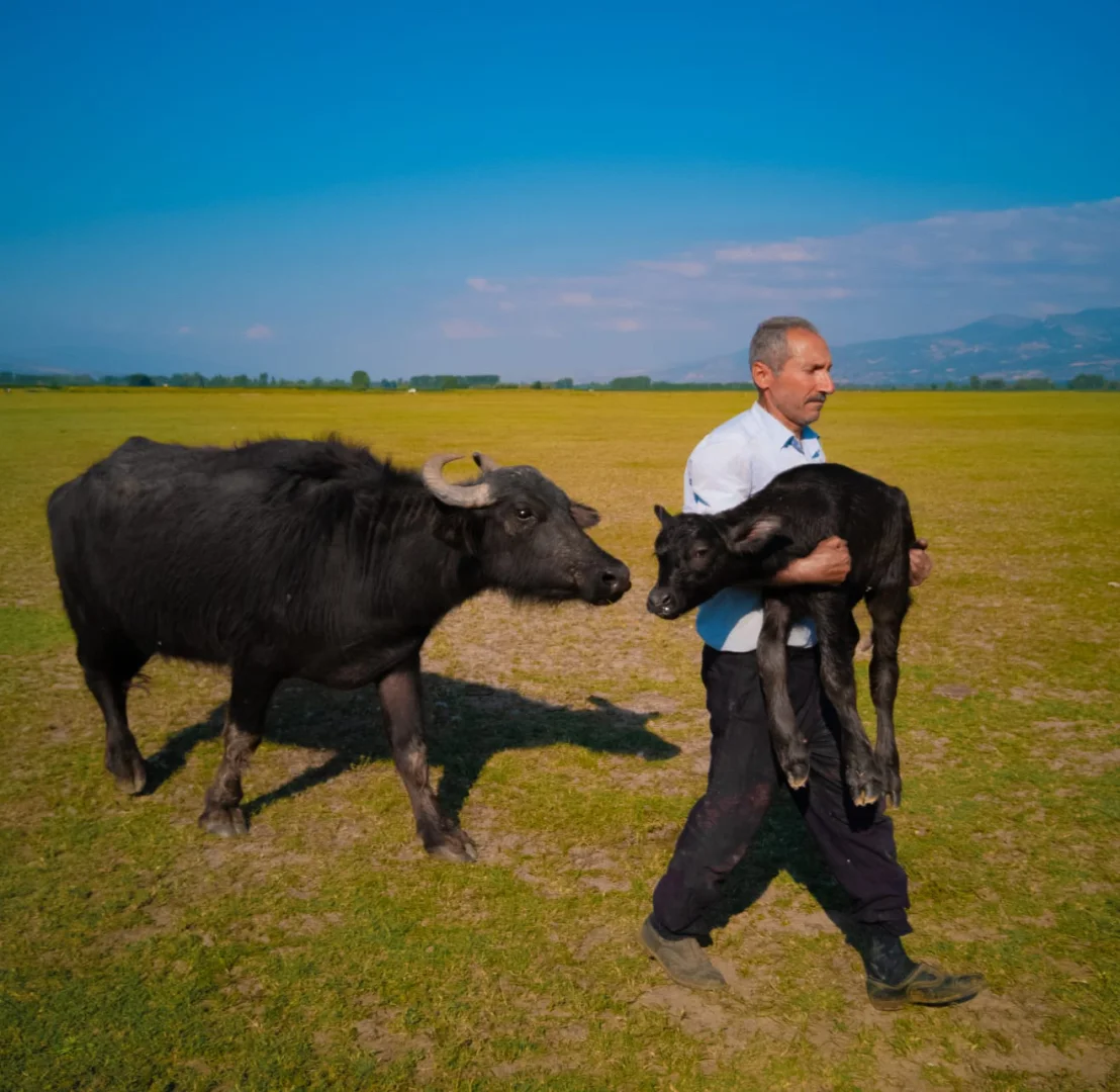 Huawei XMAGE 2025'te Türk fotoğrafçı dünya ikincisi oldu