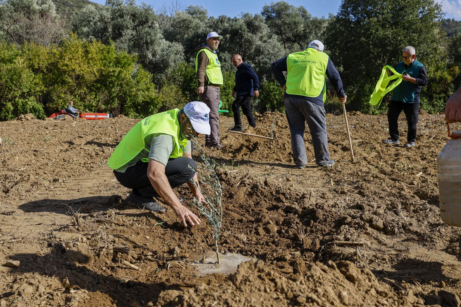 İHH, çiftçilere zeytin fidanı desteğini 25 bine çıkaracak