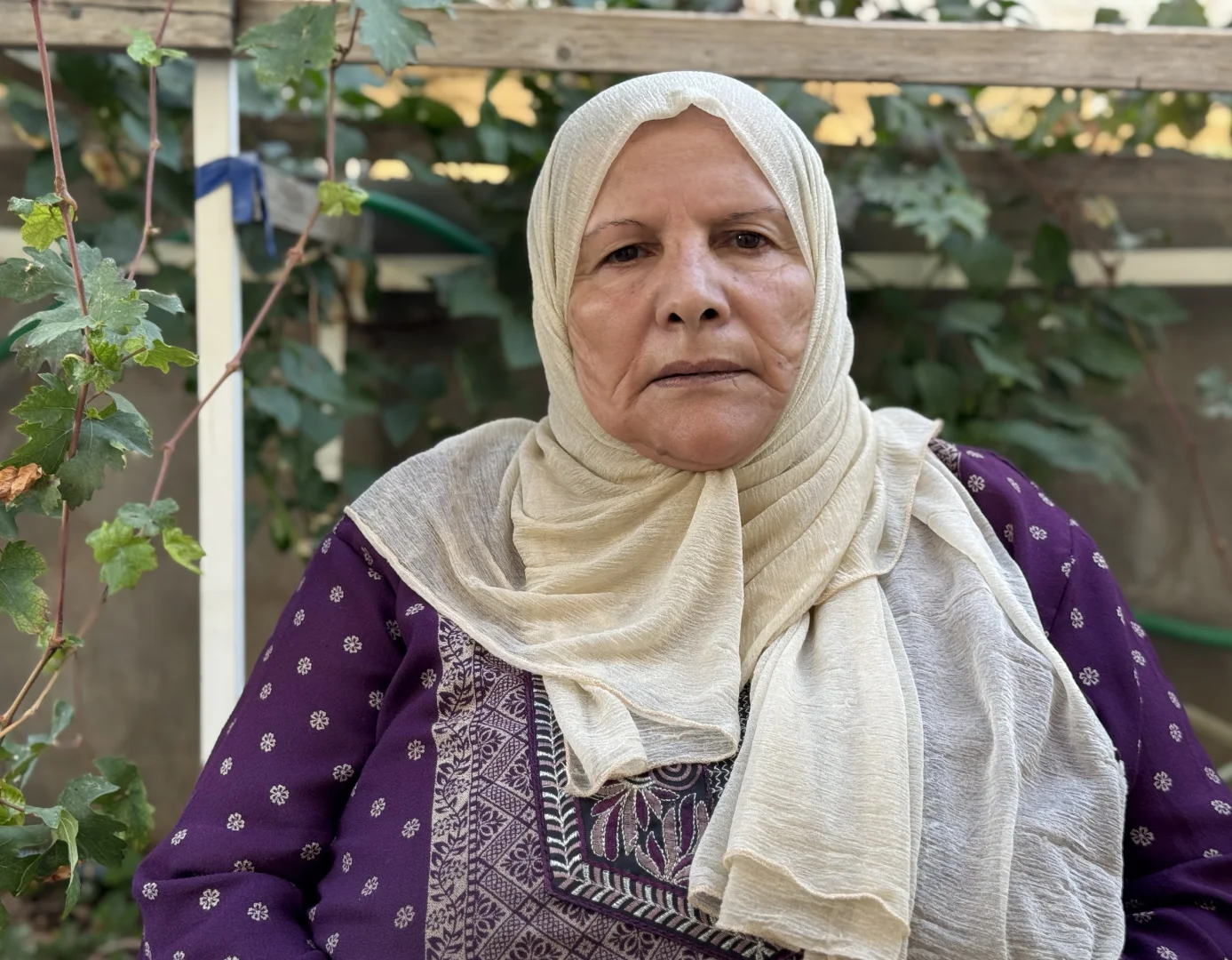 İsrail barbarlığı gölgesinde zeytin hasadı; askerler 70 yaşındaki kalp hastası Filistinli kadın ile damadına saldırdı