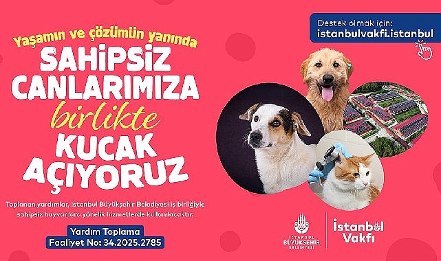 İstanbul Vakfı'ndan sahipsiz can dostlarımıza destek çağrısı