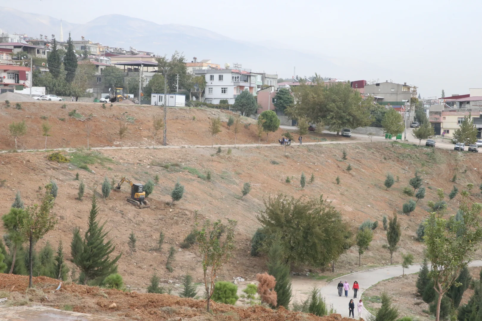 Kahramanmaraş'ta karbon emiliminin artırılması için 75 dönüm alan ağaçlandırılıyor
