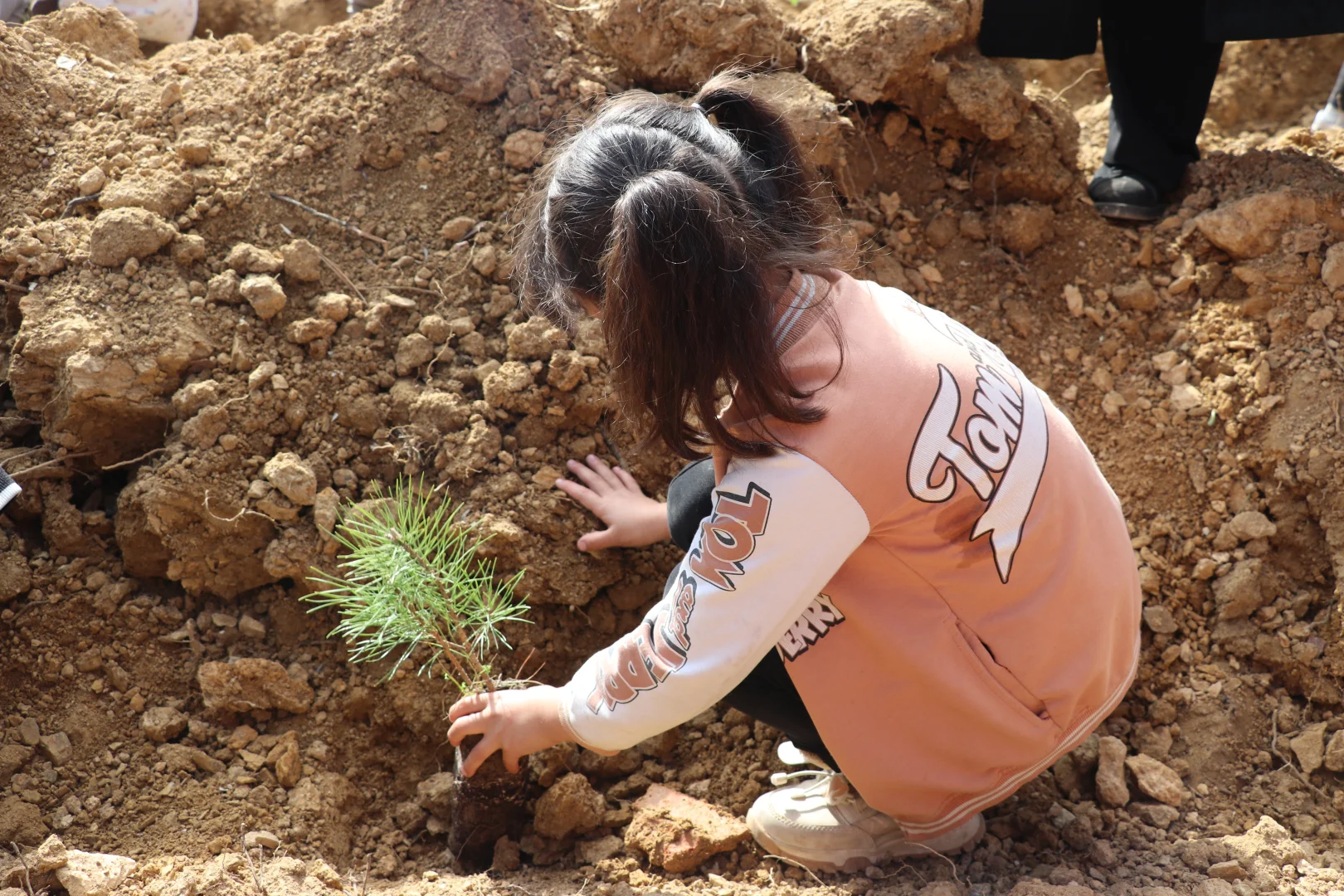 Karabük'te "Milli Ağaçlandırma Günü" dolayısıyla fidan dikimi yapıldı
