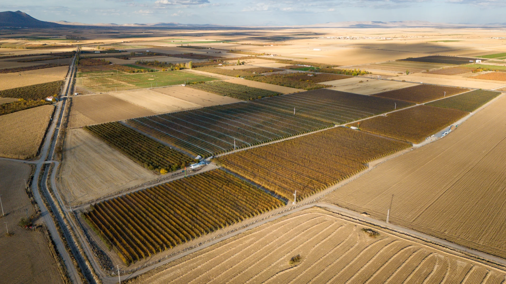 Karaman'da sezonun son elmaları özenle hasat ediliyor