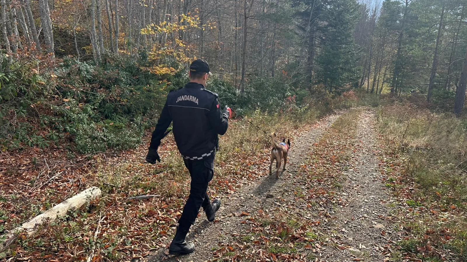 Kastamonu'da kaybolan anne ve oğlundan 8 gündür haber alınamıyor