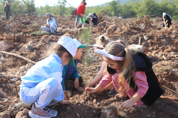 Kepez'de yangında zarar gören alanlarda fidan dikildi
