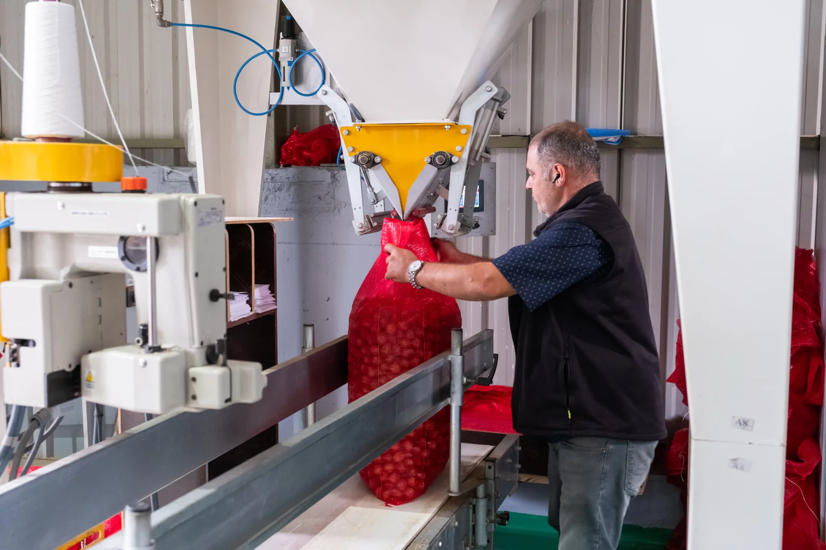 Kırklareli'nde kıraç alanda ceviz üretimine başlayan işletme elektriğini güneşten karşılıyor