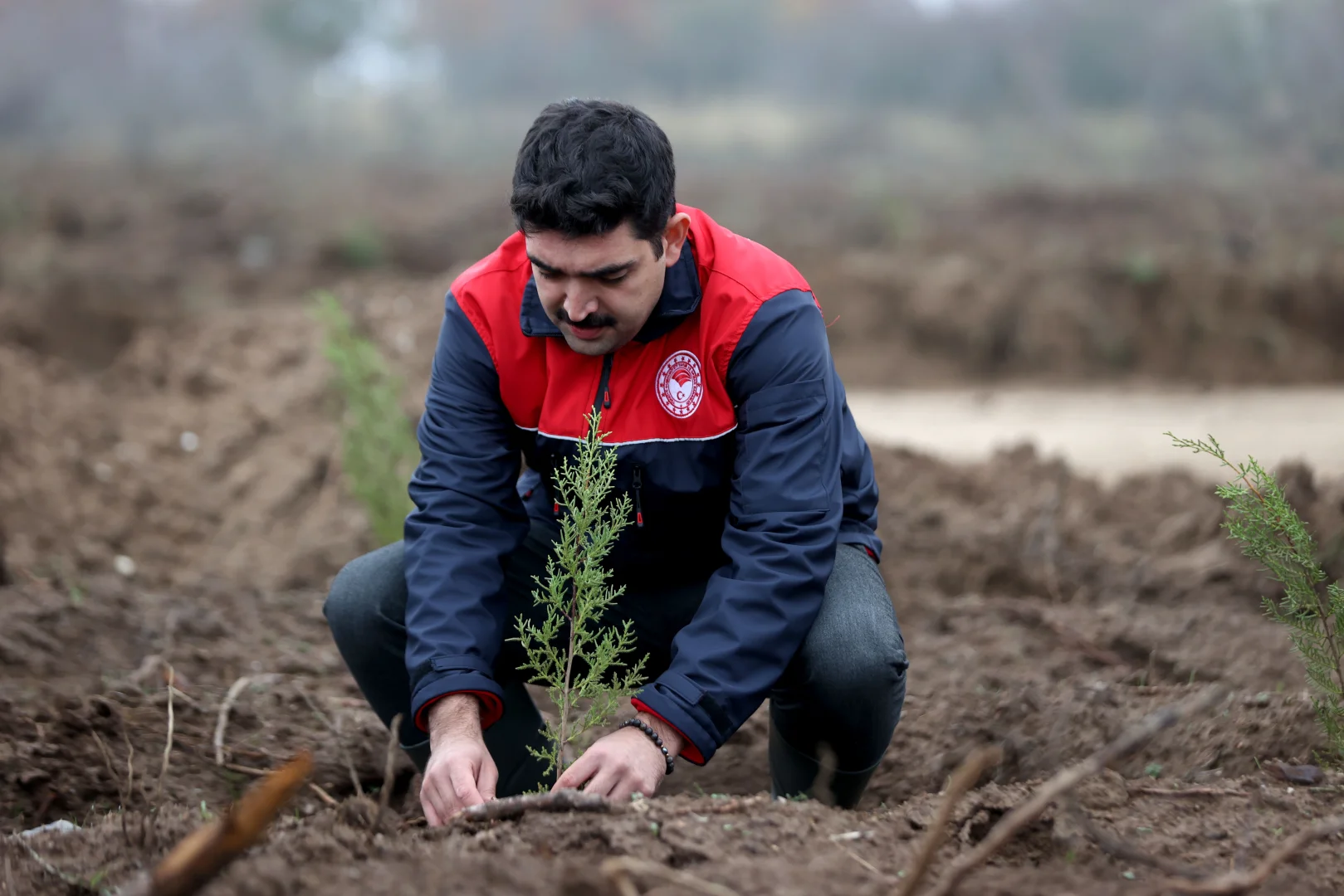 Kırklareli'nde "Milli Ağaçlandırma Günü" dolayısıyla fidan dikimi yapıldı