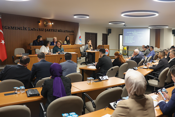 Maltepe Belediye Meclisi’nde kadına şiddete karşı ortak irade vurgulandı