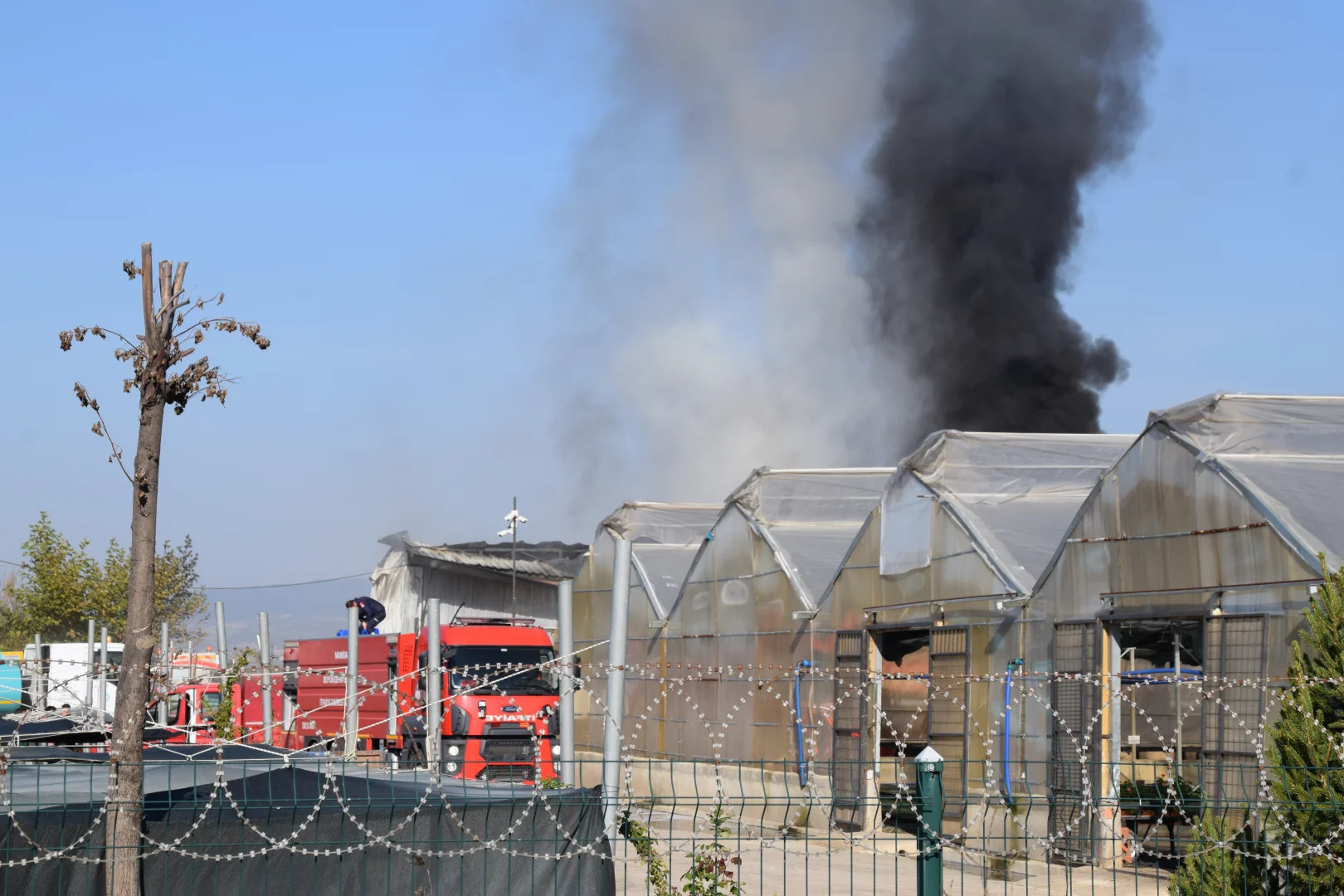 Manisa'da serada çıkan yangın söndürüldü