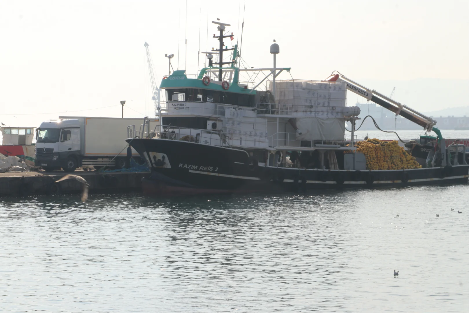 Marmara Denizi'ndeki bolluk balıkçıları Tekirdağ açıklarına çekti