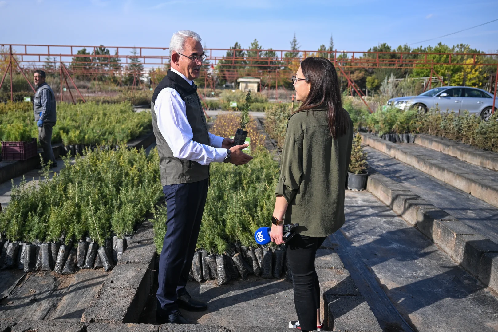 Milli Ağaçlandırma Günü