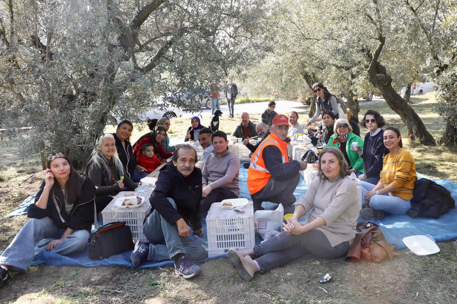 Mudanya'da birlikte zeytin topladılar