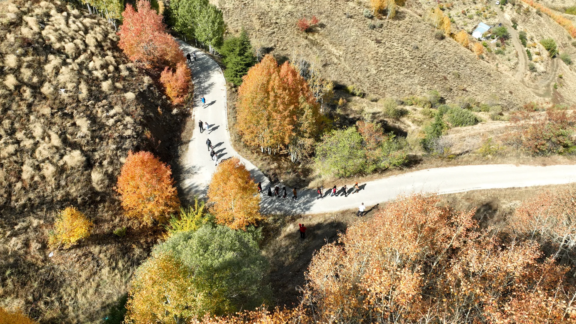 Muş'ta gençler sonbahar renklerine bürünen Bağlar bölgesinde doğa yürüyüşü yaptı