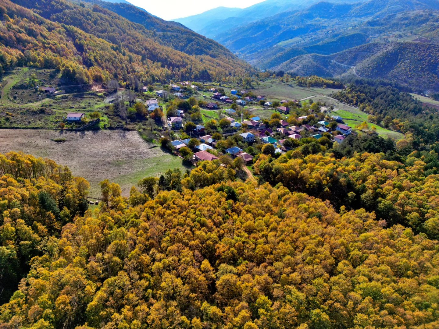 Osmaniye'de Dişbudak Yaylası, sonbahar renklerine büründü