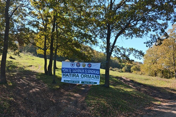 Sakarya'da 22 bin fidan toprakla buluştu