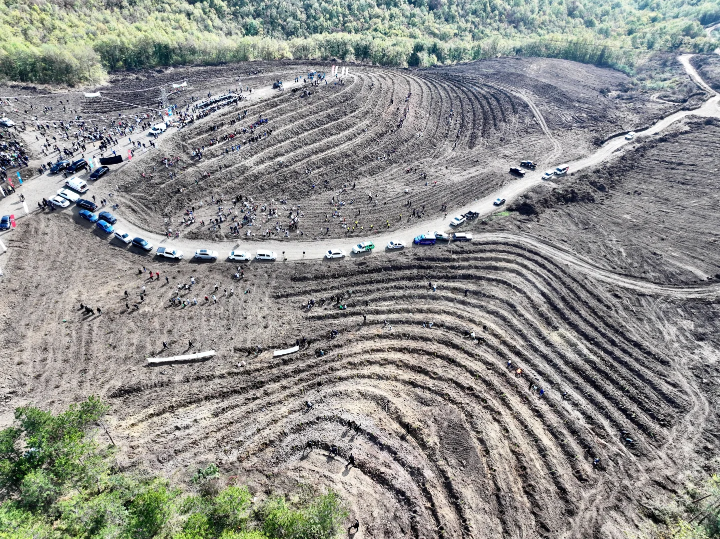 Sakarya ve çevre illerde on binlerce fidan toprakla buluştu