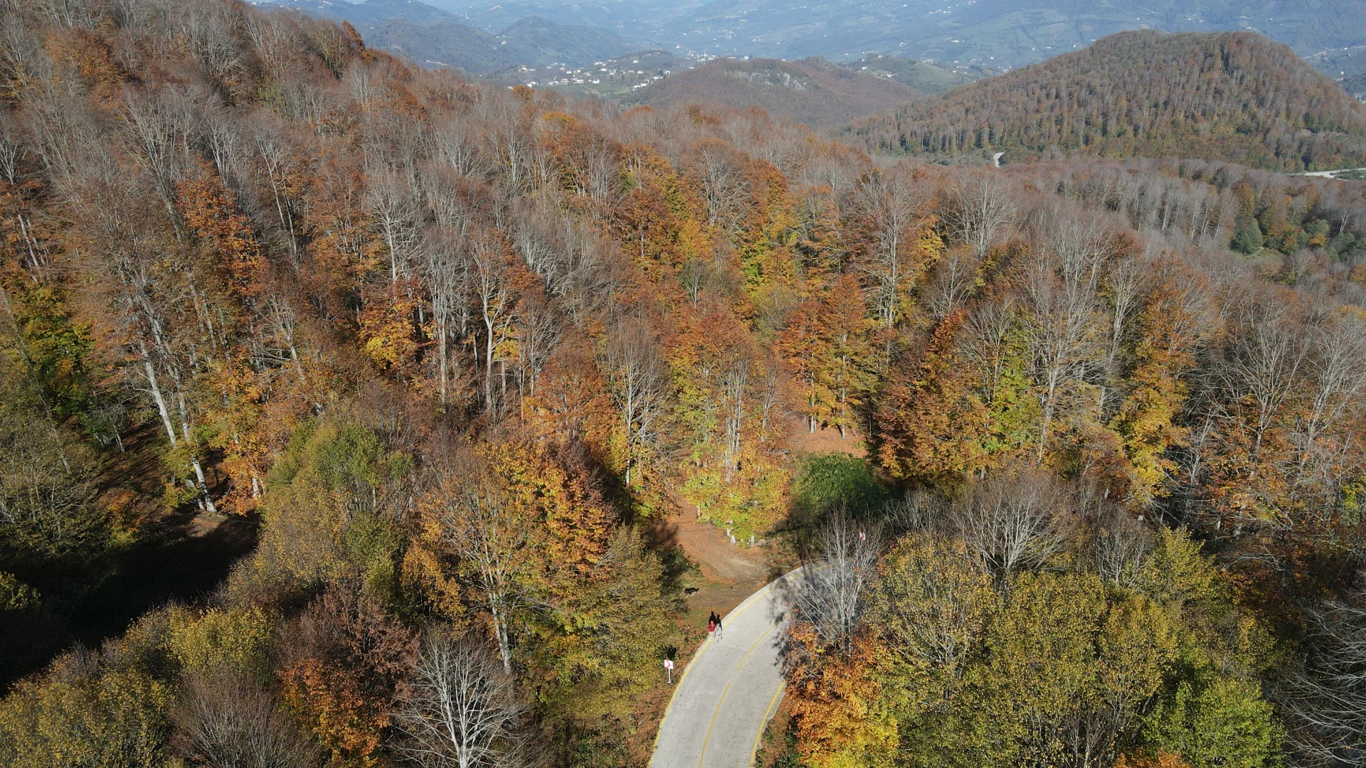 Samsun'daki Nebiyan Dağı sonbahar renklerine büründü