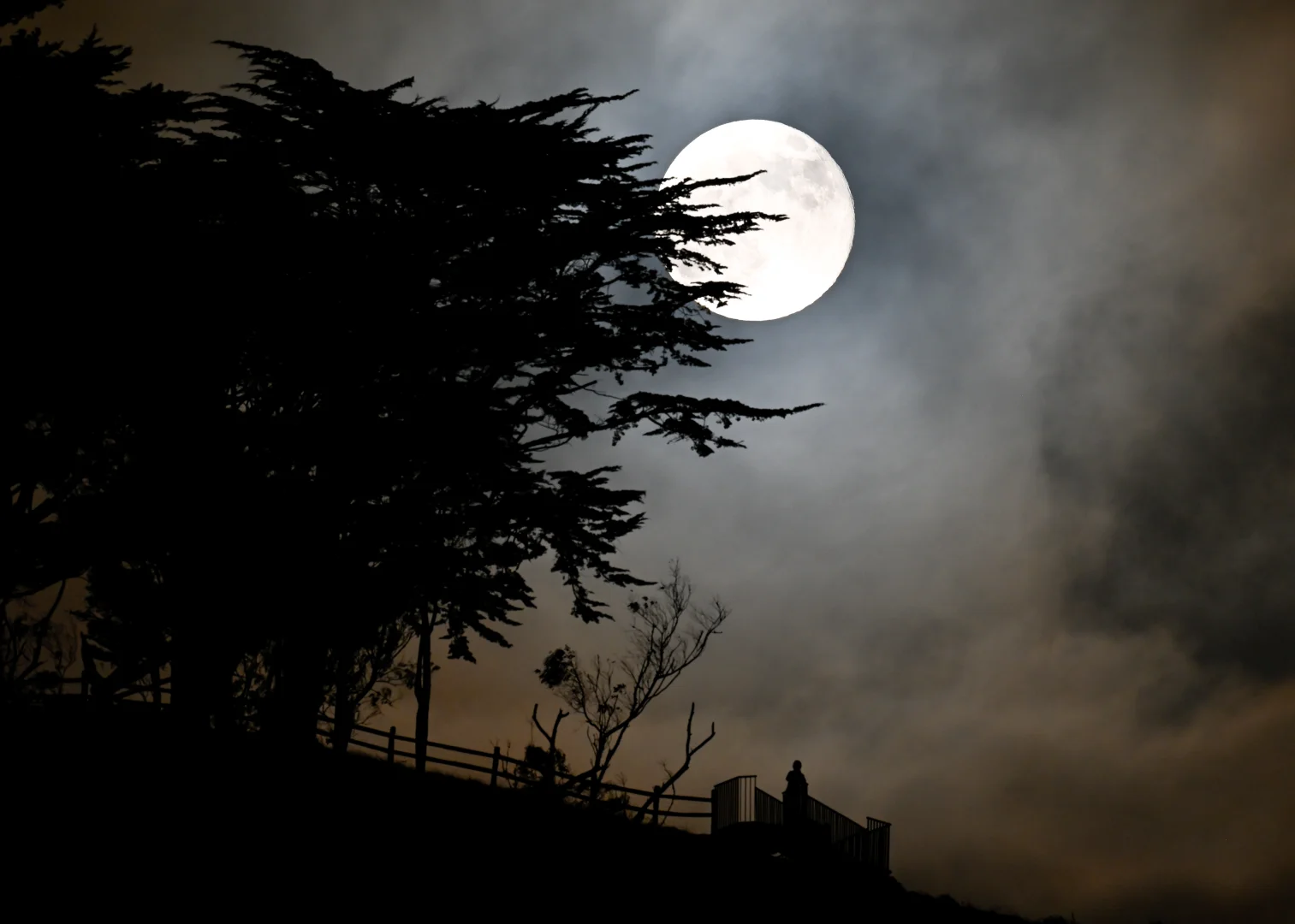 San Francisco'da Dolunay