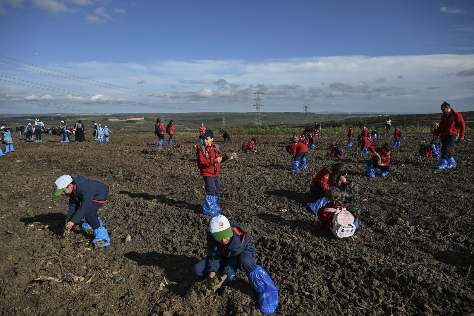 Silivri'de 11 Kasım Milli Ağaçlandırma Günü'nde 15 bin fidan toprakla buluştu