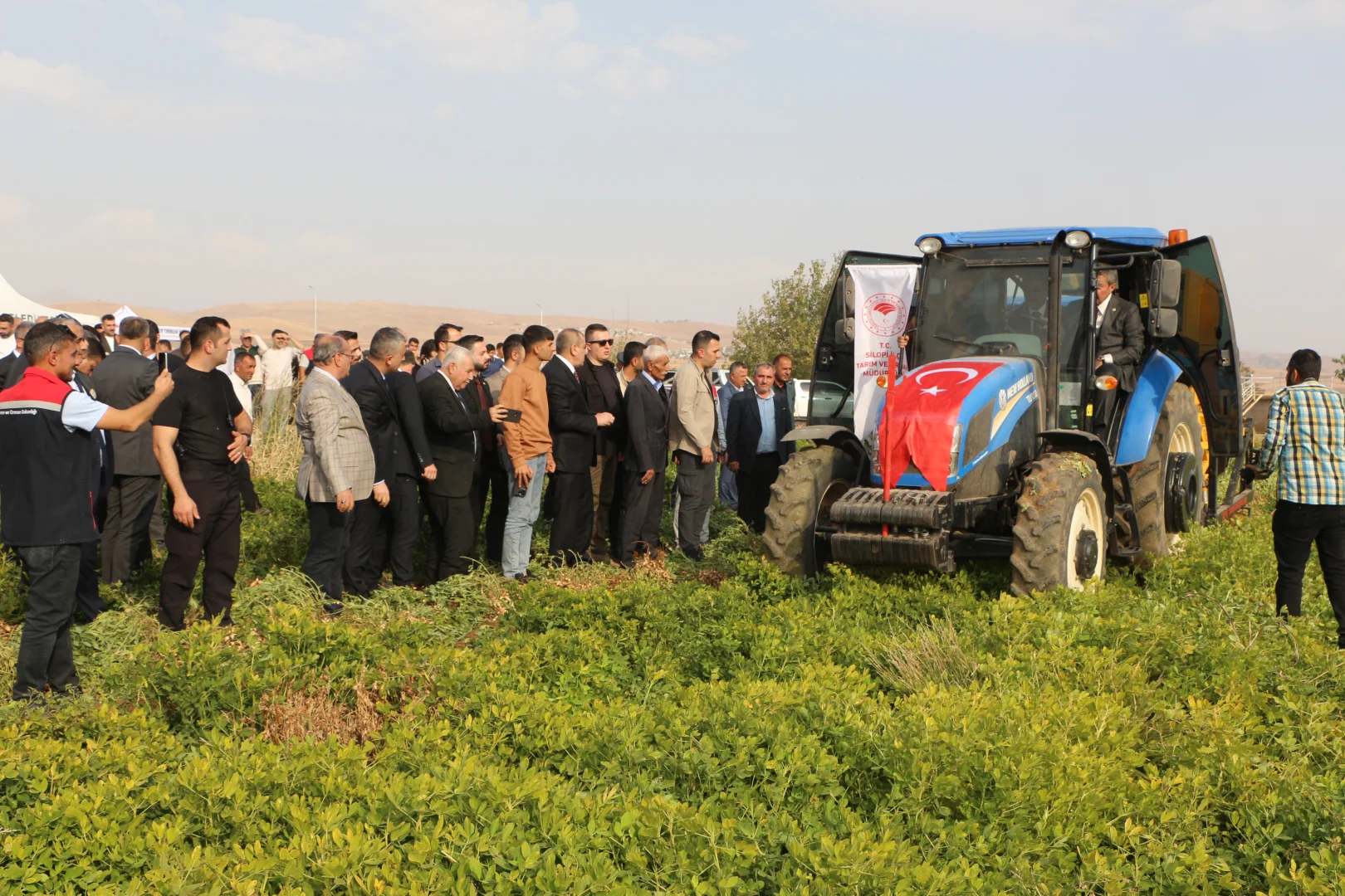Şırnak'ta yer fıstığı hasadı yapıldı