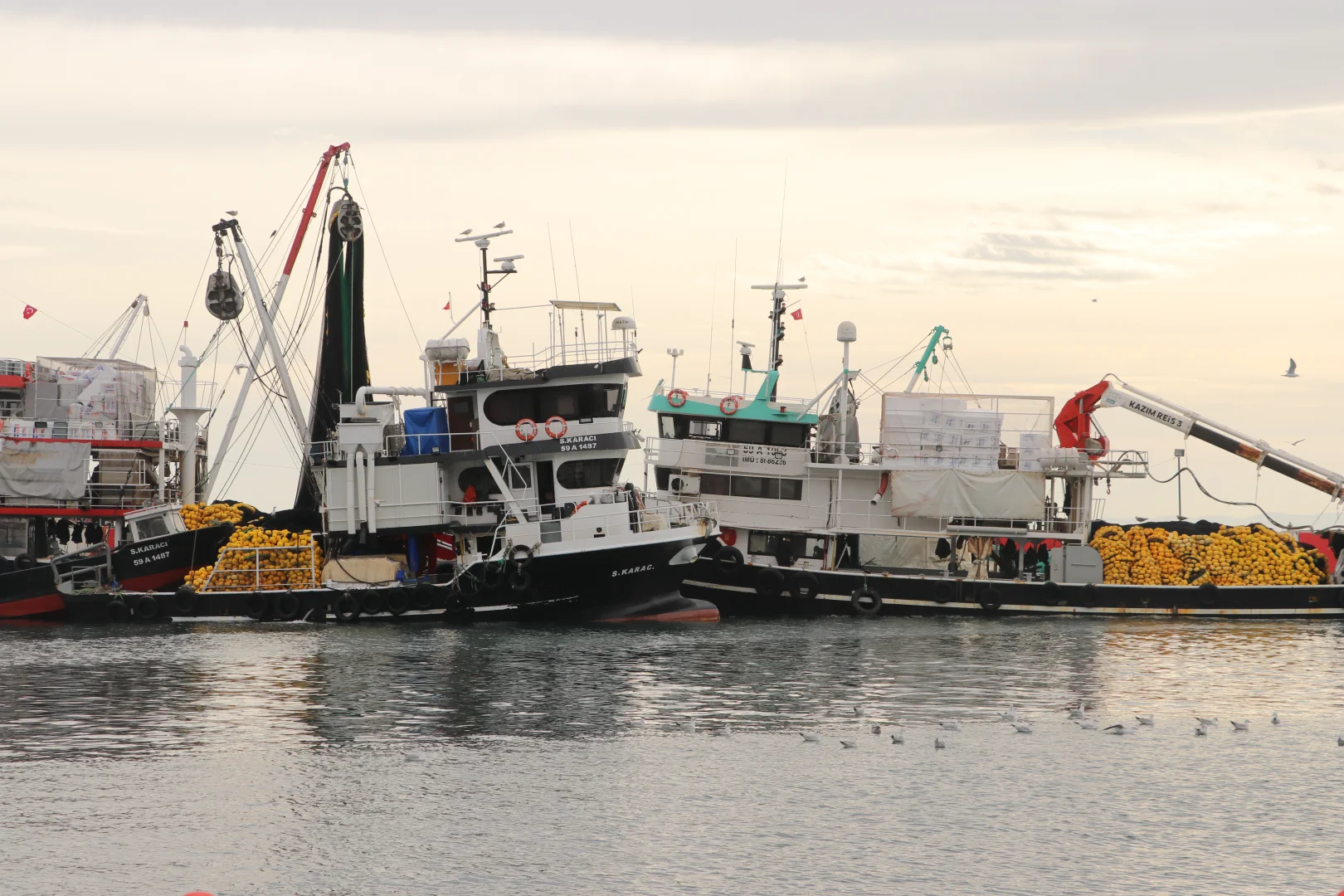 Tekirdağ'da lodos deniz ulaşımını olumsuz etkiliyor