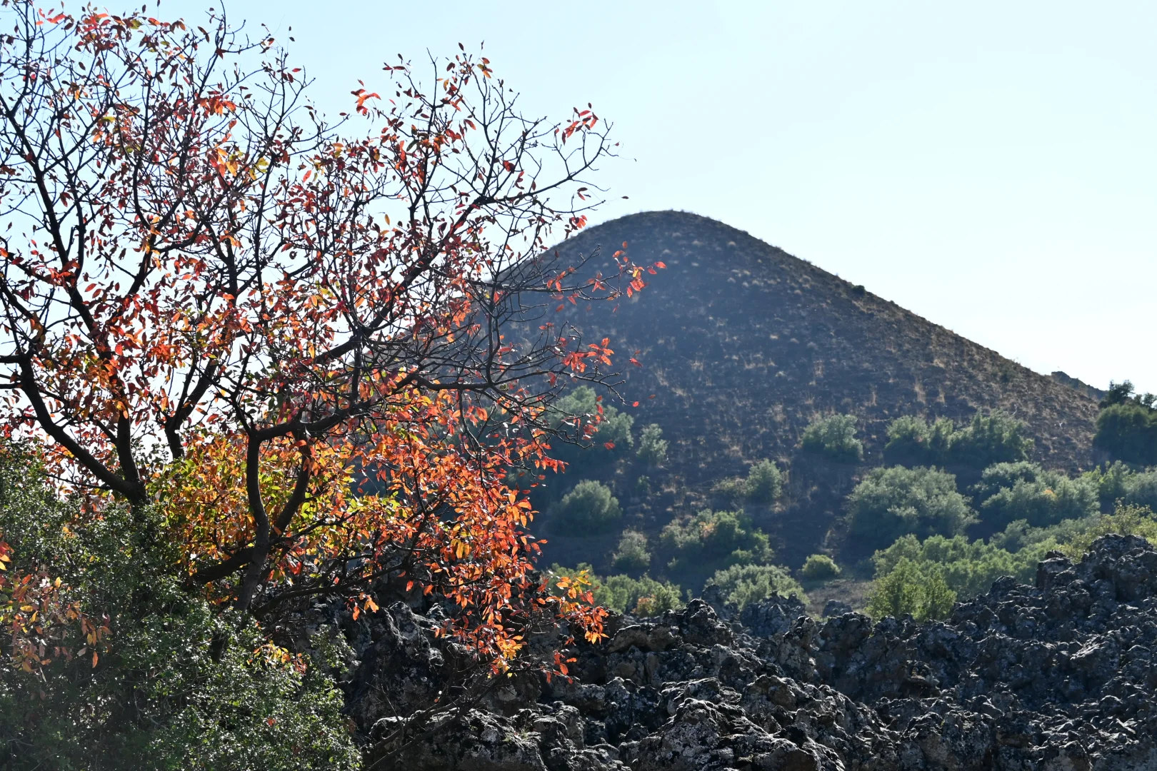 Yanık Ülke'de sonbahar renkleri